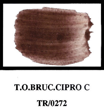 cod. TR0272 terra d'ombra bruciata cipro