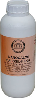 Immagine di Nanocalce Calosil IP 25