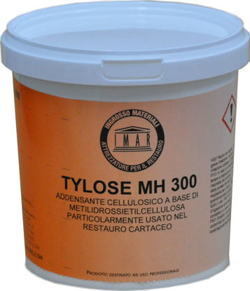 Immagine di Tylose MH 300 Metil Idrossi Etil Cellulosa Gr. 500